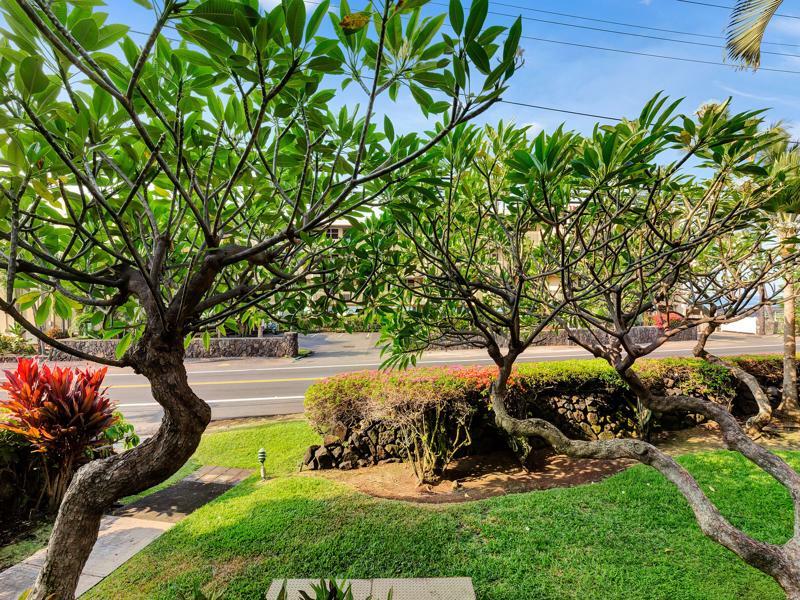 Castle Kona Bali Kai A Condominium Resort Holualoa Exterior foto